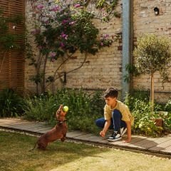 Yale Dış Mekan Hareket Sensörü